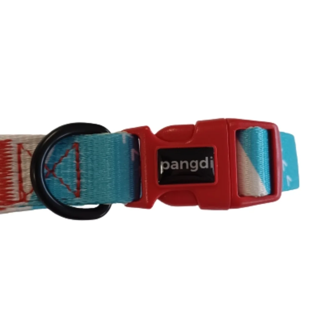 Medium Dog Collar By PANGDI Pet Clasp Adjustable Colorful Funky Artistic Print